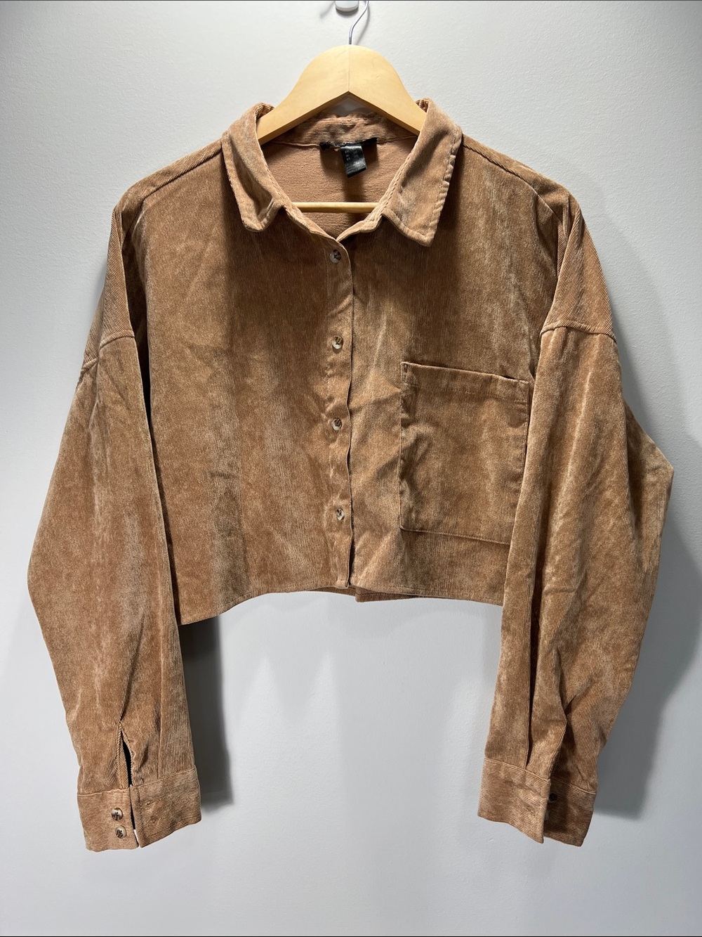 Streetwear Society Cropped Corduroy Button-Down in Camel Brown